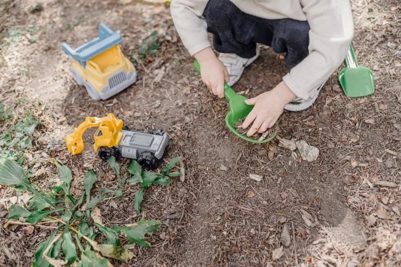 Raising Resilient Children in a Sanitized World: What the Science of Immunity Actually Demands